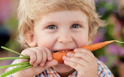 Alimentación para una visión perfecta