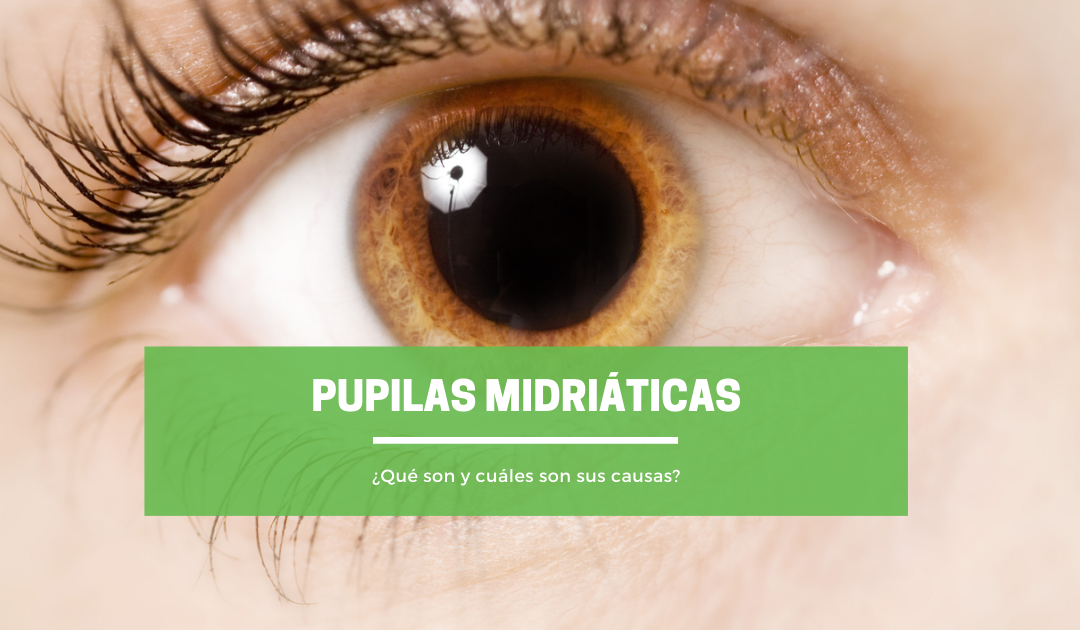 Pupilas midriáticas o dilatadas: descubre de qué se trata