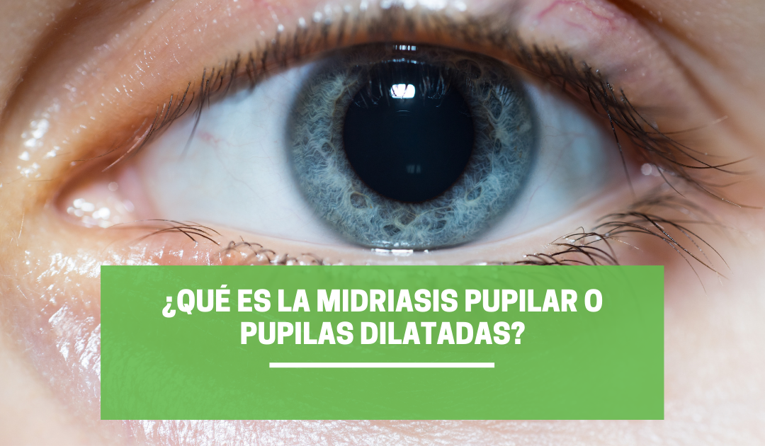 ¿Qué es la midriasis pupilar o pupilas dilatadas? Te sacamos de dudas